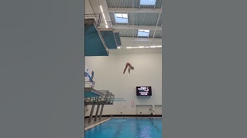 Diving. Front one and a half pike