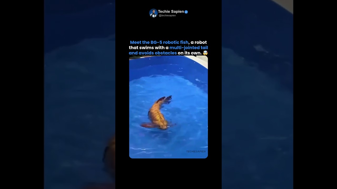China Built a Robotic Fish That Swims Like the Real Thing 🤯