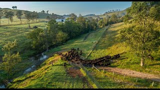 Elders NSW | 'Gateway Farms', Gloucester