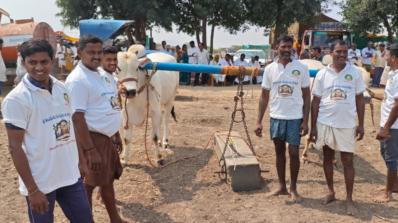 తలపనూరు 6పల్లలో,1వ జత,GAH బుల్స్,అక్కంపల్లె