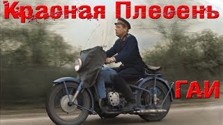 Красная Плесень – ГАИ