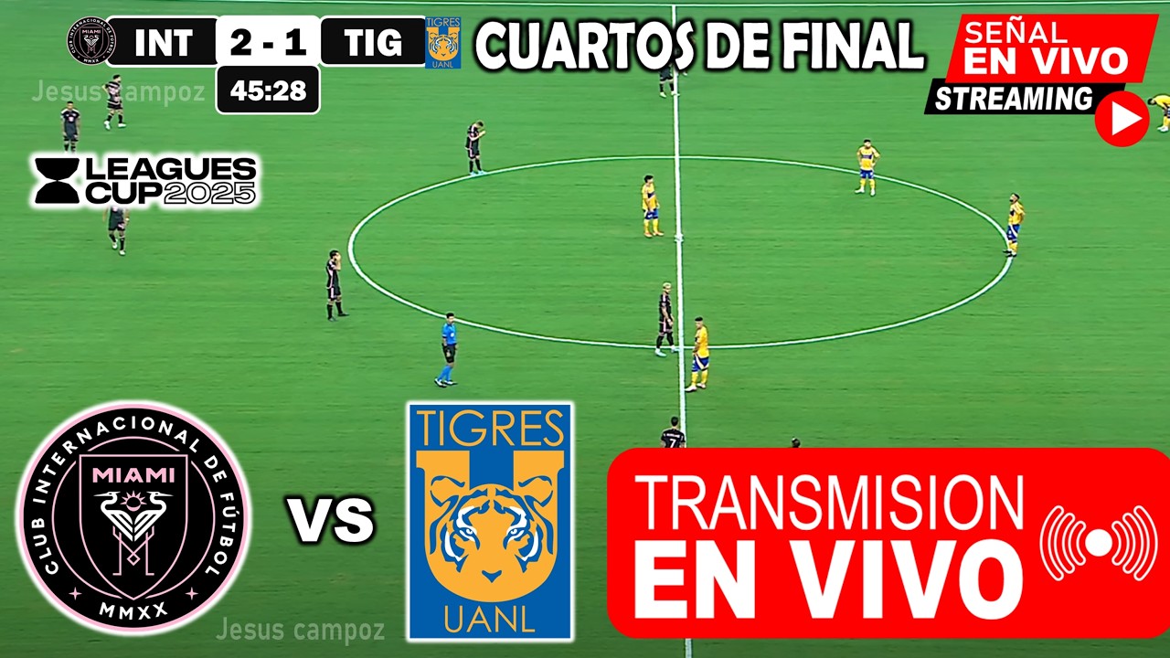 Soccer League Stream Tudn Mexico Vs Brazil: Why Is Everyone