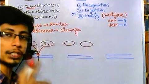 Restriction enzyme digestion (Isochizomer, neoschizomer and isocaudamer)
