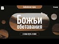 Божьи обетования и наш путь к ним. Проповедь, Мунтяну Юрий.