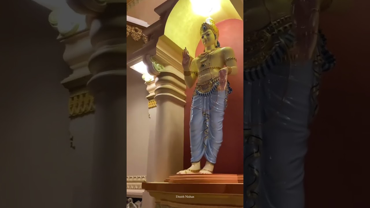 මිහිපිට දිව්‍ය ලෝකයක් 🥺💗💐