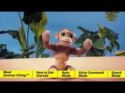 Zoomer | Zoomer Chimp | How To Play With Zoomer Chimp