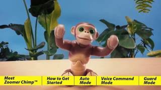 Zoomer | Zoomer Chimp | How To Play With Zoomer Chimp