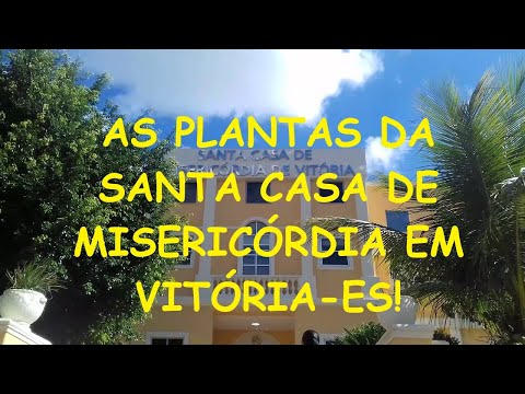 AS PLANTAS DA SANTA CASA DE MISERICÓRDIA EM VITÓRIA!