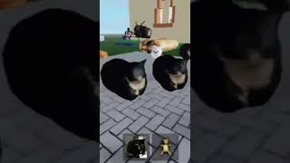 используйте для мемов #roblox #мемы #врек #тренды #роблокс #мем