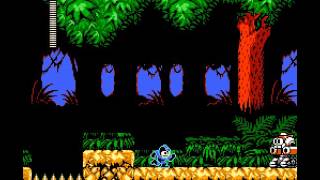 Megaman 8 - Search Man (No Damage)