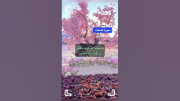 سورة فصلت الاية 36-38