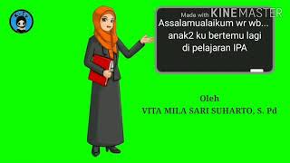 PERBEDAAN MONERA DAN PROTISTA