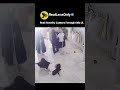 Real Security Camera Footage Only