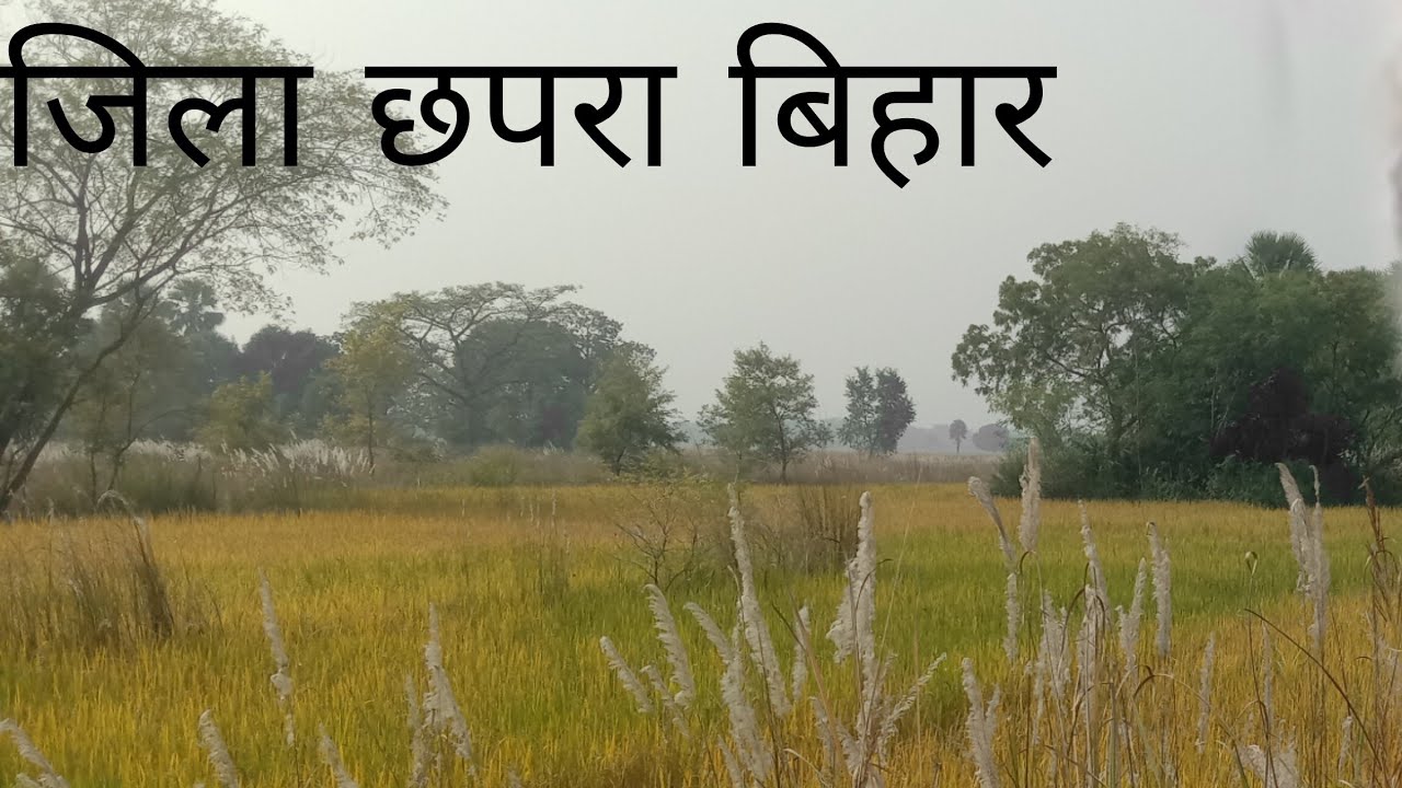 gram Panchayat Manikpur# Chapra jila Saran Bihar # blog video #