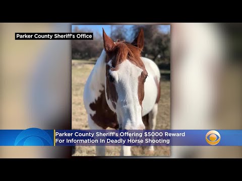 Parker County Busted Newspaper