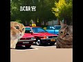 40代後半で自動車免許取得①