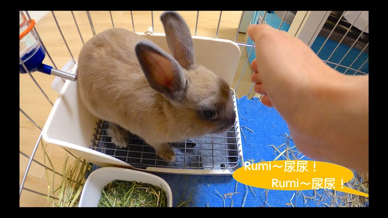 足 の 爪 上 に 伸びる