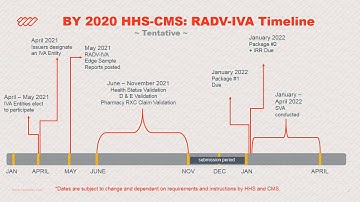 BY2019  BY2020 RADV IVA Timeline