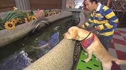 まさはる君が行く ポチたまペット大集合 Youtube