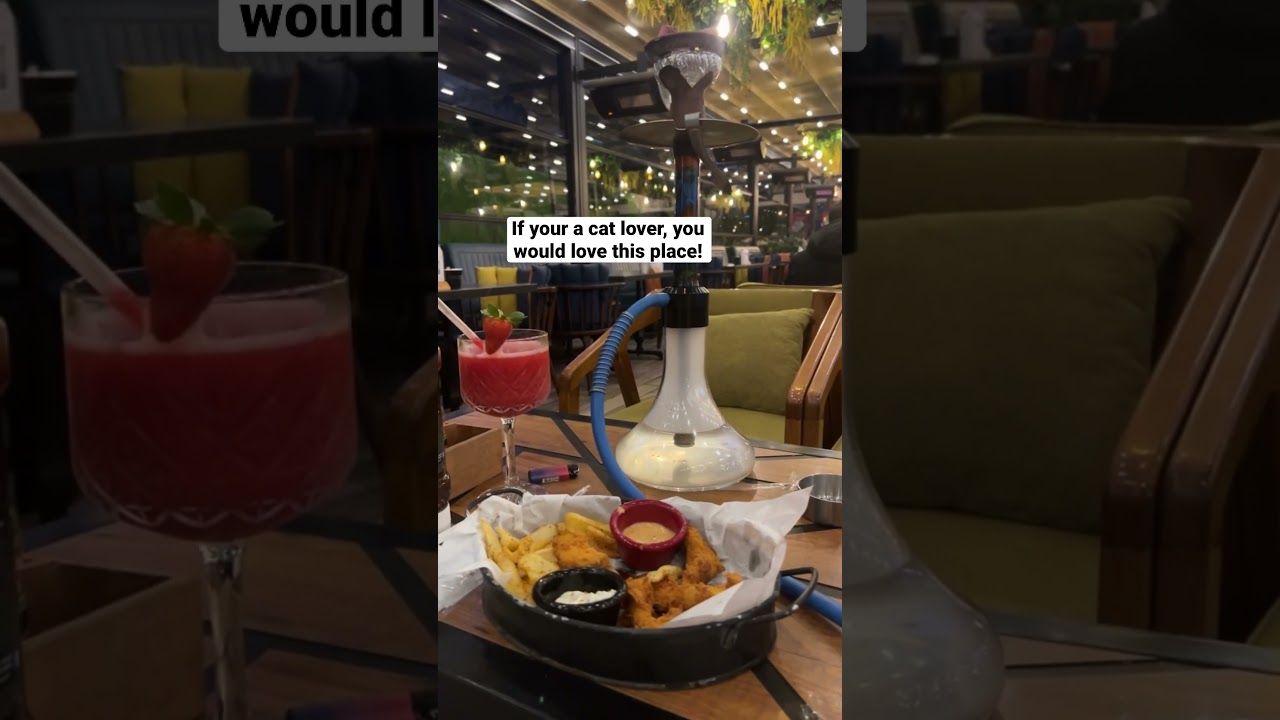 Obejrzyj KUTU PLAY cool #shisha spot in Antalya #Lara #Turkey #cats #catvideos #catlover #catlovers #travel w YouTube Obejrzyj KUTU PLAY cool #shisha spot in Antalya #Lara #Turkey #cats #catvideos #catlover #catlovers #travel w YouTube