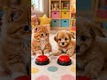 The kitten outplayed the puppy