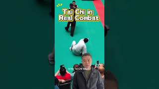 Is Tai Chi Kung Fu Real?