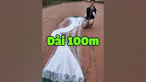 Lưới Dù Thái Màn Cước | Cao 4m x 100m x 6cm sợi 3 Phao Xốp Ngón Chân Dường Se  Cực Khỏe