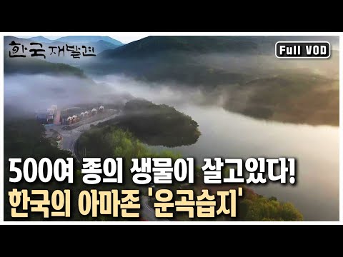 풍천장어와 복분자 하면 여기다! 천혜의 자연을 자랑하는 전북 고창 (KBS 20130810 방송)
