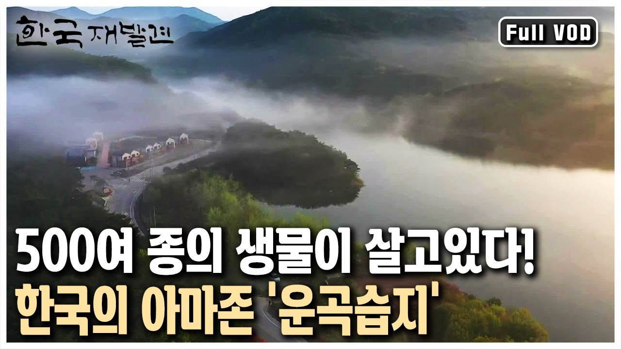 풍천장어와 복분자하면 여기! 천혜의 자연을 자랑하는 전북 고창 (KBS 20130810 방송)