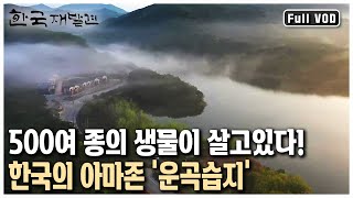 풍천장어와 복분자하면 여기! 천혜의 자연을 자랑하는 전북 고창 (KBS 20130810 방송)