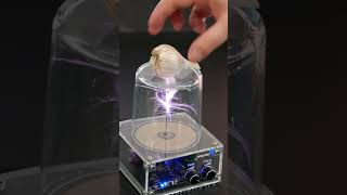 Tesla Coil Rate This 1-10