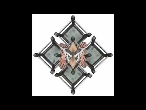øjeRum — øjeRum - Butterfly Tongues More Ancient Than Flowers [2022 / Full Album]