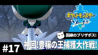 図鑑を埋めていくポケモン剣盾　Part.17