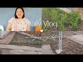 Buhay America: Sinubukan ang intermittent fasting and low carb diet + update sa aking garden.