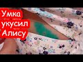 VLOG Умка укусил Алису. День с моим папой