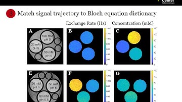 Ouri Cohen: Rapid and quantitative CEST imaging with magnetic resonance fingerprinting (MRF)