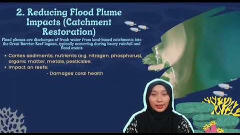 VIDEO PRESENTATION ECOSYSTEM BASED MANAGEMENT OF GREAT BARRIER REEF AUSTRALIA BIO652