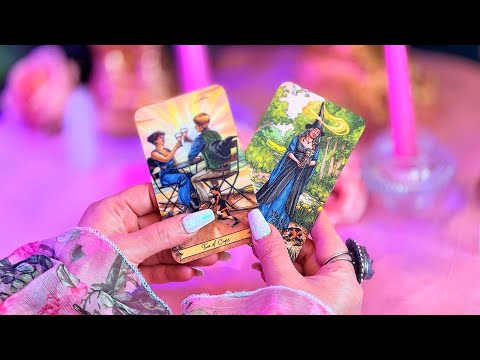 شاینی تاروت آیا شخص رفته برمیگرده