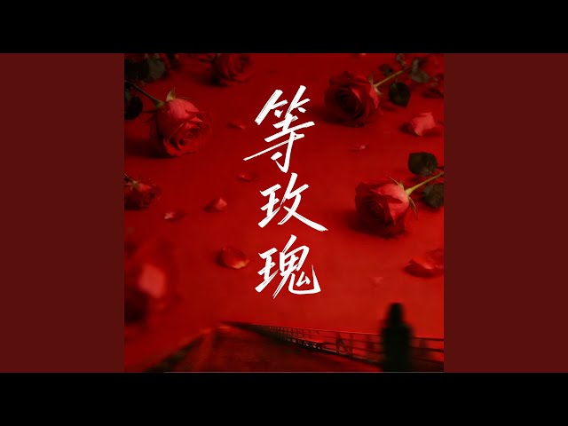 等玫瑰