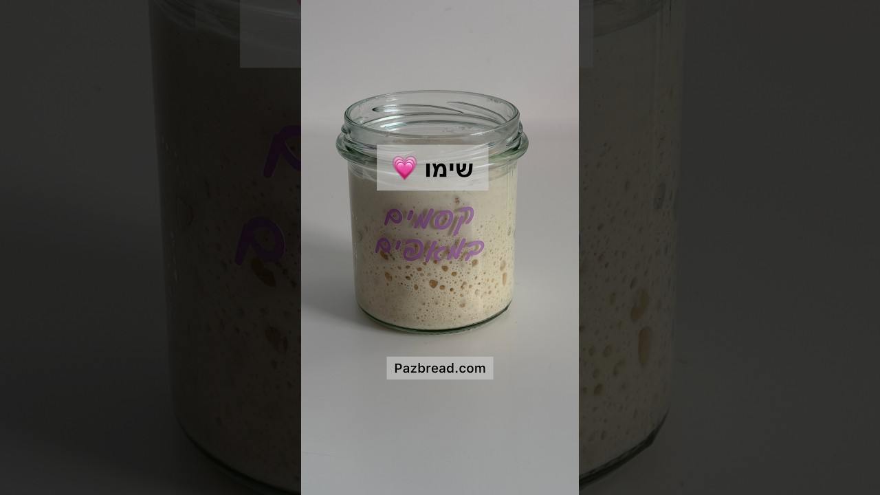 מה קרה למחמצת ?