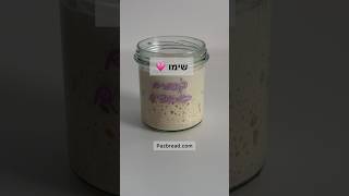 מה קרה למחמצת ?