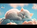 Relaxing Music for Cats (LIVE 24/7) Peaceful Piano Music with Cat Purring Sounds|Sleepy Cat  EPD 906