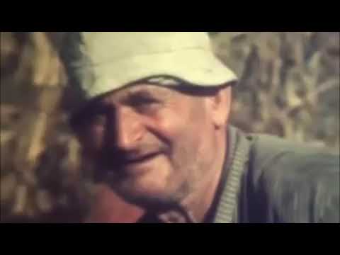 მელექედური 1985