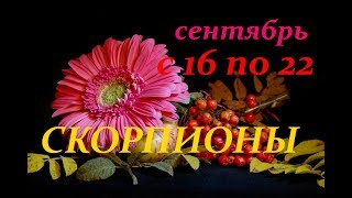 СКОРПИОНЫ. С 16 по 22 СЕНТЯБРЯ 2019 г. ПРОГНОЗ на НЕДЕЛЮ. СКОРПИОНЫ. С 16 по 22 СЕНТЯБРЯ 2019 г. ПРОГНОЗ на НЕДЕЛЮ.