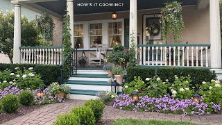 End of Summer Front Garden // How's It Growing?