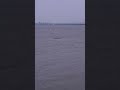 Gangajal Se Kare Yea Upay Gangajal Gangariver Gangasagar ЁЯТжЁЯТжЁЯТжЁЯТжRadhe Radhe ЁЯМ ЁЯМ ЁЯЩПЁЯЩПЁЯЩПЁЯЩПЁЯЩПЁЯЩПЁЯЩП Gangajal Se Kare Yea Upay Gangajal Gangariver Gangasagar ЁЯТжЁЯТжЁЯТжЁЯТжRadhe Radhe ЁЯМ ЁЯМ ЁЯЩПЁЯЩПЁЯЩПЁЯЩПЁЯЩПЁЯЩПЁЯЩП