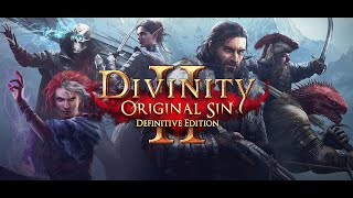 Divinity: Original Sin II || Первое прохождение || Часть 4