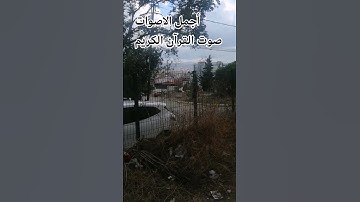سوره الكافرون بصوت جميل ♥️اللهم اجعل القرآن ربيع قلوبنا ونور صدورنا القرآن الكريم ♥️راحه نفسيه