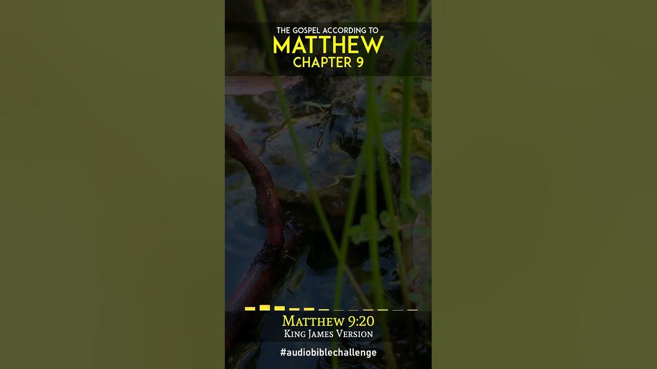 MATTHEW 09 VERSE 18 22 KINGDOM LEGACY FAMILY BIBLE SHORTS READ BY matthew-09-verse-18-22-kingdom-legacy-family-bible-shorts-read-by