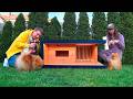 Building a Dog House with Underfloor Heating with Wi-Fi - Timelapse. Step-by-step